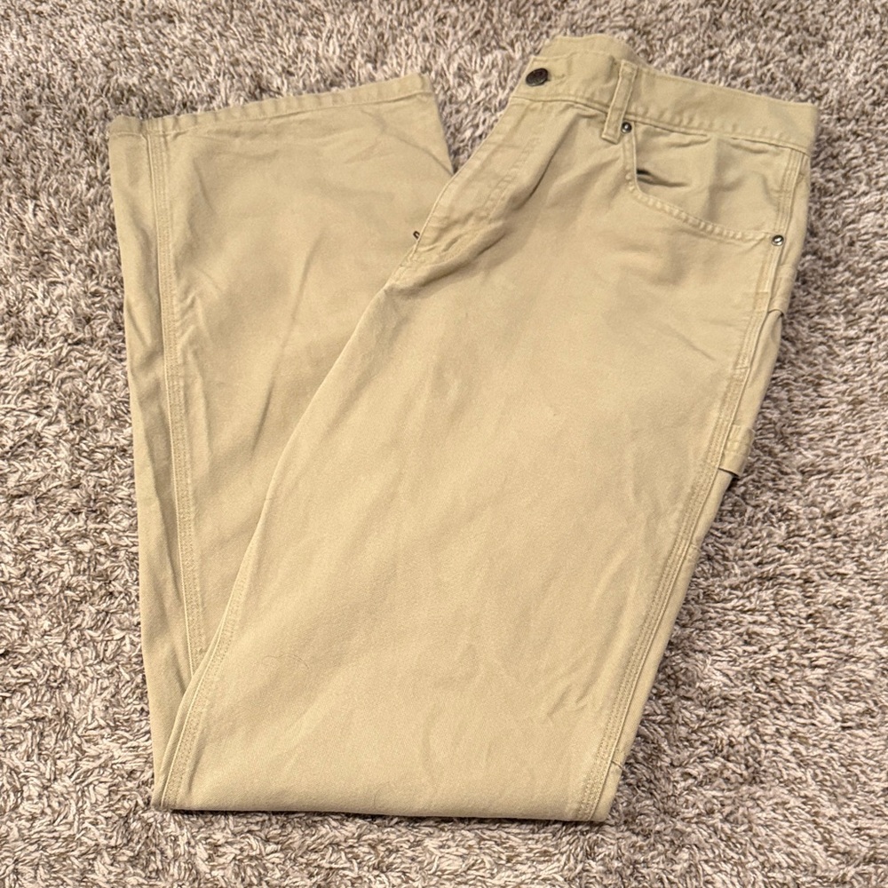 Men's Patagonia Work/Hiking Pants